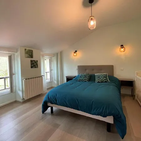 Beyrie-sur-joyeuse, 6 Pièces, 10 Personnes - Fr-1-384-19